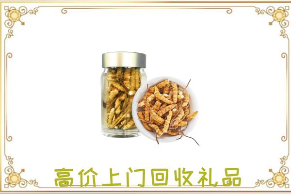 叶县周边回收虫草